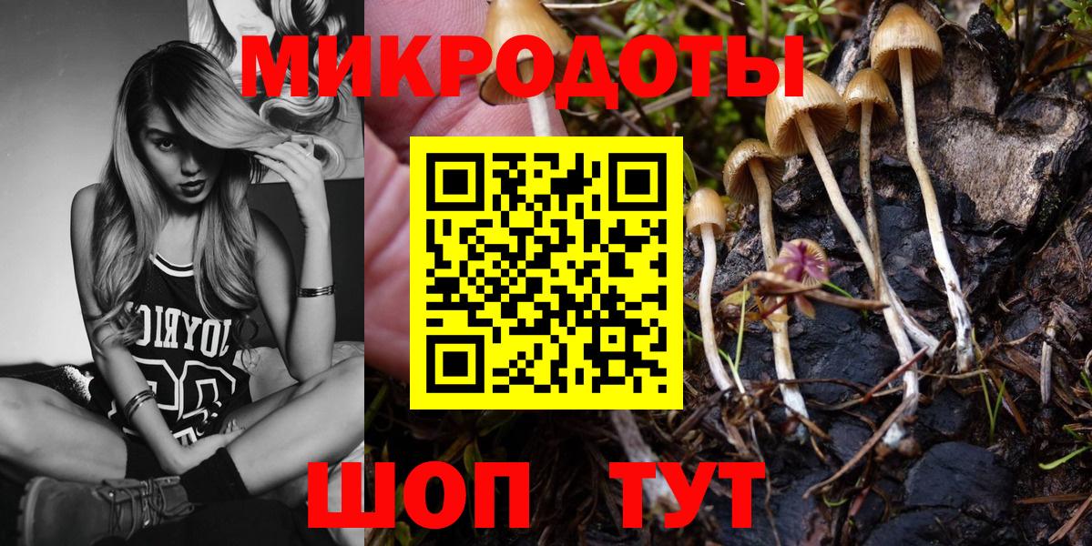 Галлюциногенные грибы Cubensis Иркутск