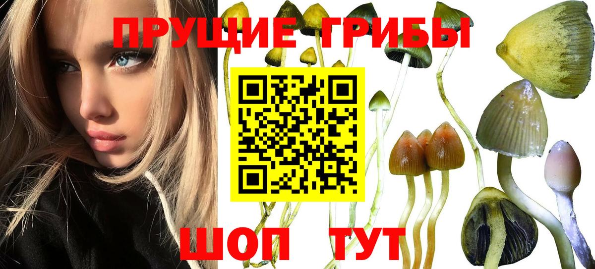 Галлюциногенные грибы MAGIC MUSHROOMS Иркутск