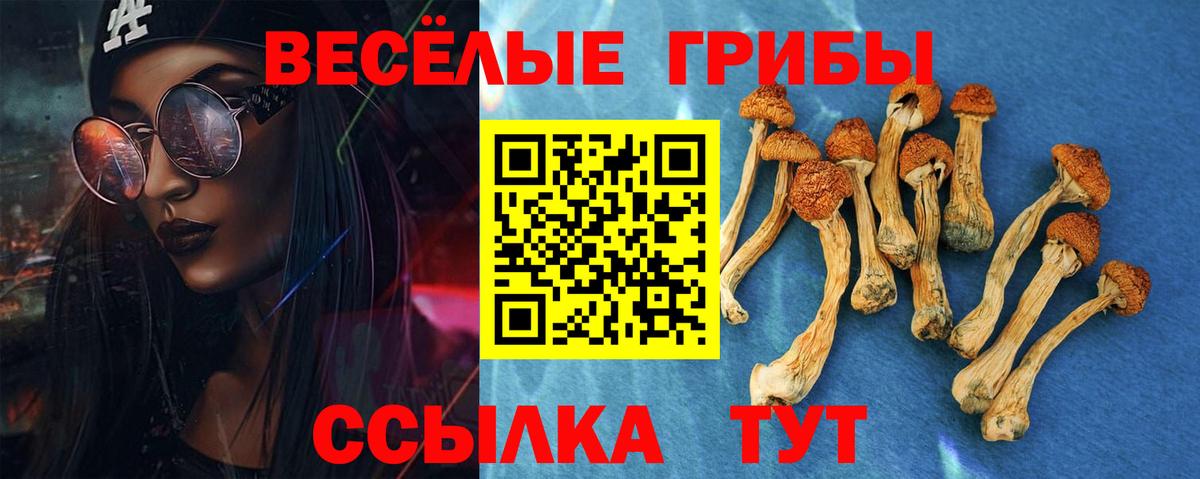 Галлюциногенные грибы Cubensis  Галлюциногенные грибы прущие грибы  Вход с VPN  Иркутск 