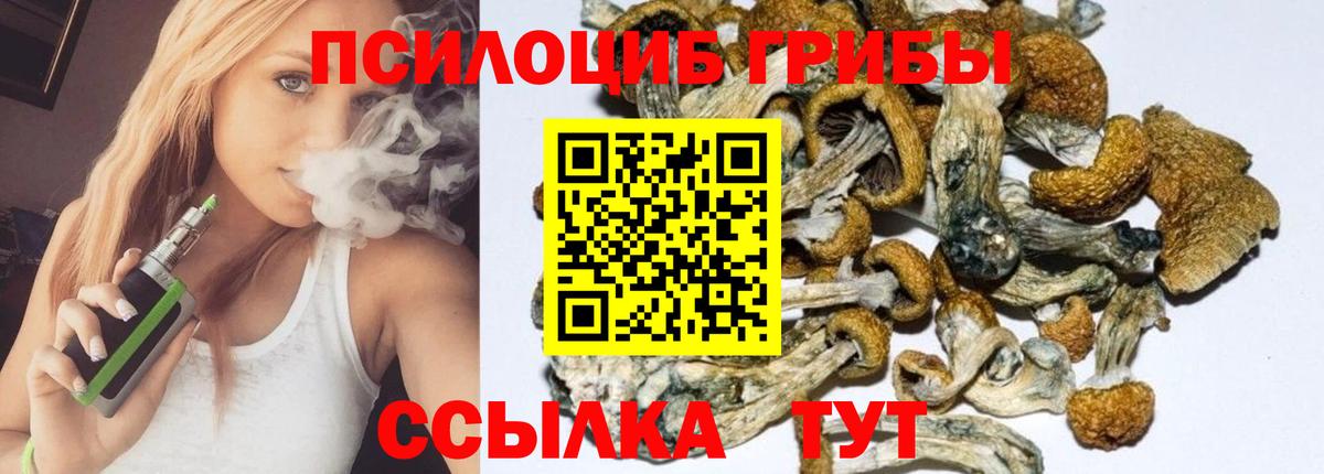 Галлюциногенные грибы MAGIC MUSHROOMS  Иркутск 